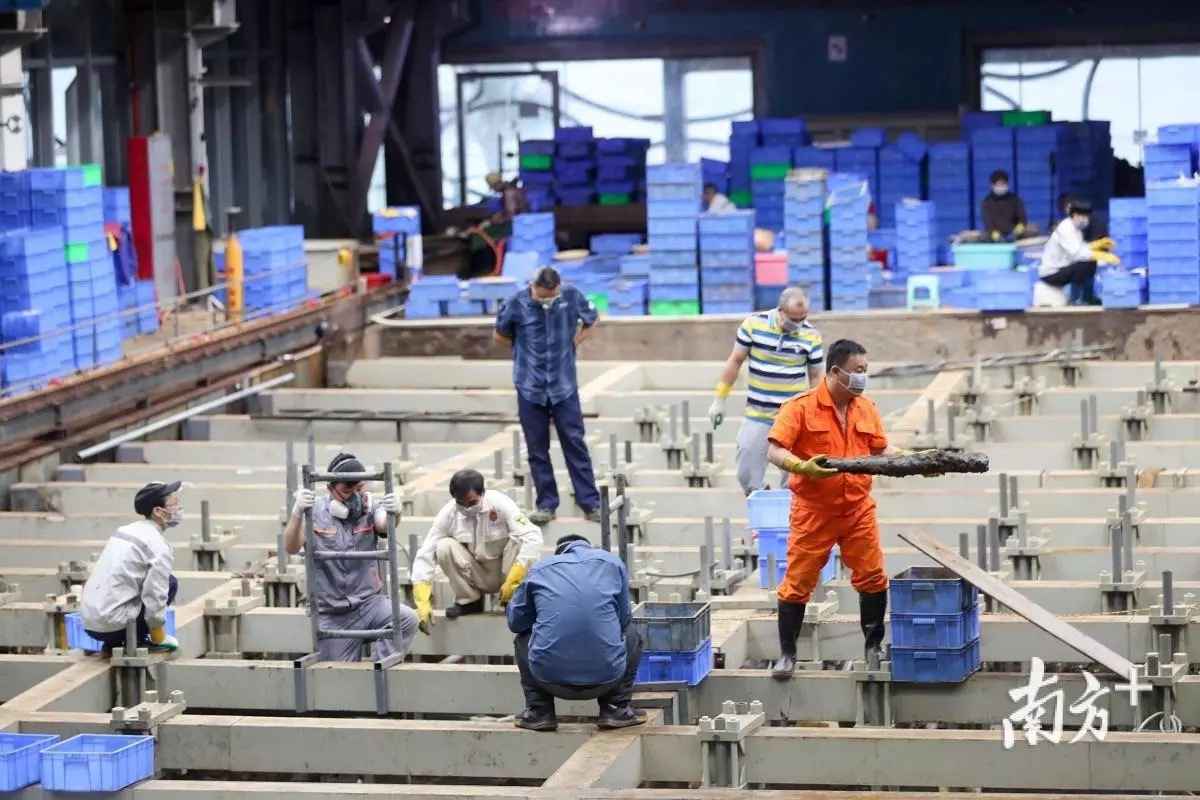 修复巴黎圣母院要请中国专家帮忙?